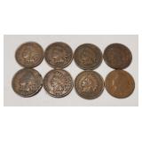 (8) Indian Head Pennies