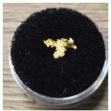 Alaska Gold Nugget #2
