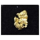 Alaska Gold Nugget #5