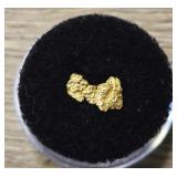 Alaska Gold Nugget #6