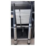 12-Step Ladder