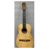 Acoustic Guitar