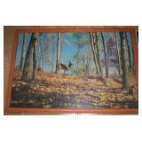 large deer print