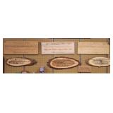 American laser cut signs>>