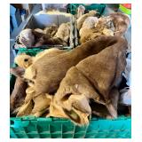 Assorted Deer Hides & More;