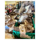 Various Taxidermy Animal Hides;