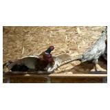 Pheasant Mount & More;