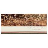 'Abandoned Fenceline- Pheasants'>