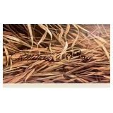 Signed Rosemary Millette;