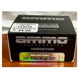 .380 auto ammo;