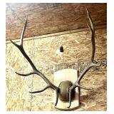 5x6 Elk Antler Mount; 5x6 Elk Antler Mount;