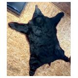 Black Bear Taxidermy Rug; Black Bear Taxidermy Rug;