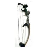 Bear Polar> Bear Polar>