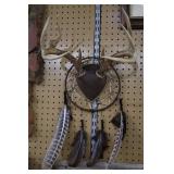 8 point whitetail dream catcher