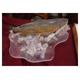 Mounted Trout on shattered icey water>