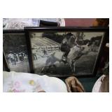Bull Riding photos