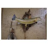 mounted Trout
