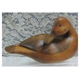 Fulvous Whistling duck >