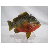 James Stangland Pumpkinseed >