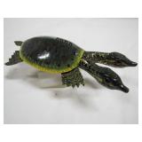 one of a kind Two Headed Soft Shell Turtle>