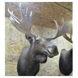 view from other side>>