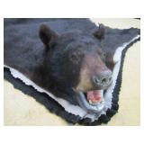 full head with teeth>