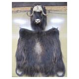 Muskox and rug >>