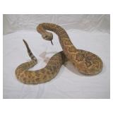 Rattle snake>