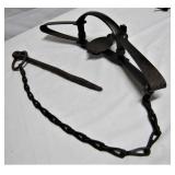 number 4 Wolf trap >>