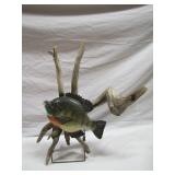 9.5 inch carved Blue Gill >>