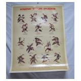 Remington 1970s wildlife posters>>