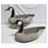 two Geese from the same estate>