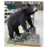 LATE EDITION Un-advertised >