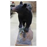 full mount Black Bear>>