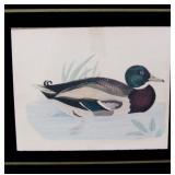 image size 5.5" x 4.5" >>