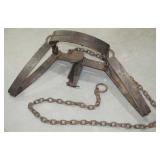 hand forged bear trap >