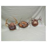 antlers