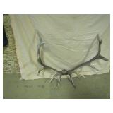 6 x 6 Elk antlers
