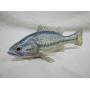 7 1/2" Jim Foote Gibralter aka Atlanta Mi > >>