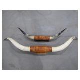 steerhorns