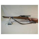 22 cal