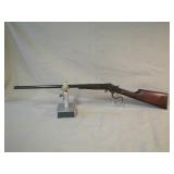 22 cal