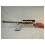 22 cal