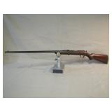 22 cal
