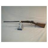 22 cal