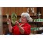 Our Beloved Beth Bills 