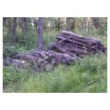 10 +/- pulp cord firewood>>>