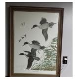 Oakgrove Pintails by >