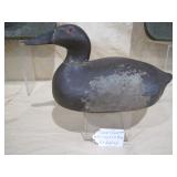 canvasback hen Ed one arm Kelly