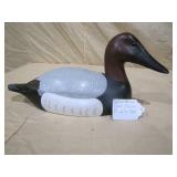 Canvasback B. Norton